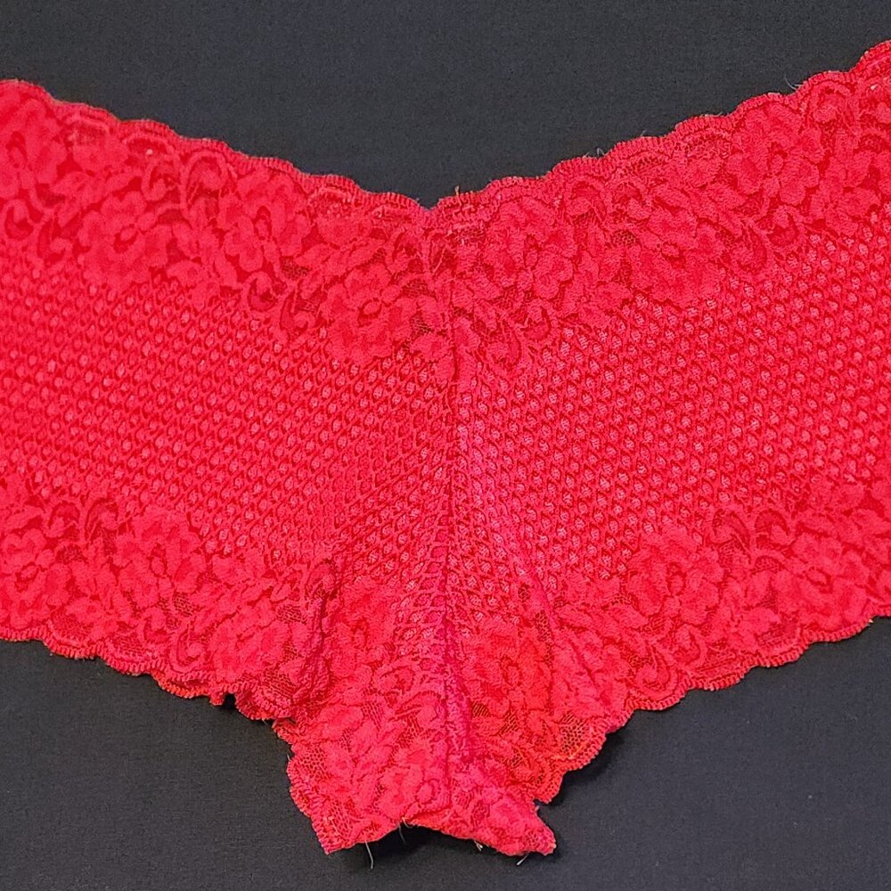 Vintage Red Floral Lace Hip-Hugger Bikini Panties Panty Collectable Lingerie